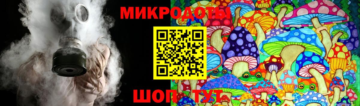 Галлюциногенные грибы Psilocybine cubensis Рассказово